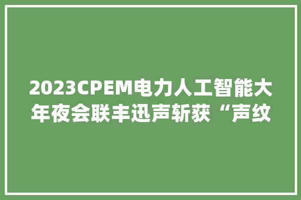 2023CPEM电力人工智能大年夜会联丰迅声斩获“声纹识别技能立异奖”_人工智能_技巧 计算机