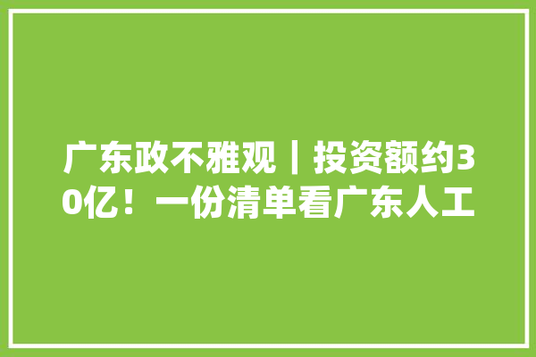 广东政不雅观｜投资额约30亿！一份清单看广东人工智能成久远景_人工智能_广东 AI简讯