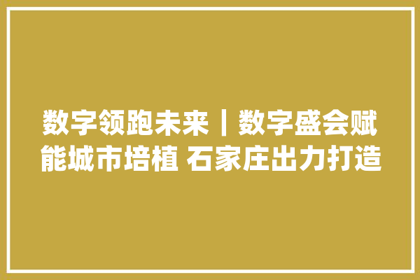 数字领跑未来｜数字盛会赋能城市培植 石家庄出力打造全国一流新型聪慧城市_城市_数字 云服务