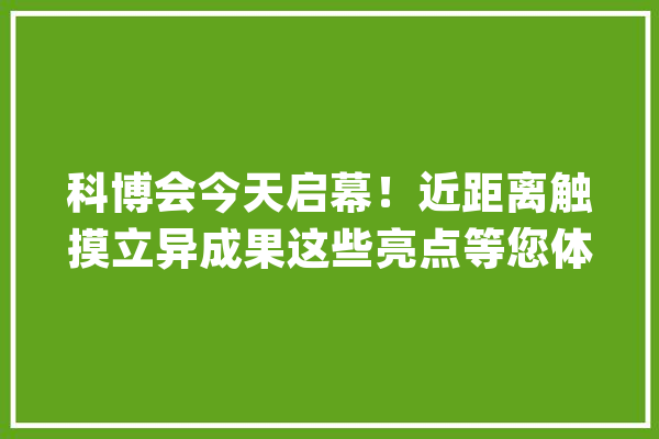 科博会今天启幕！近距离触摸立异成果这些亮点等您体验_机械人_人工智能