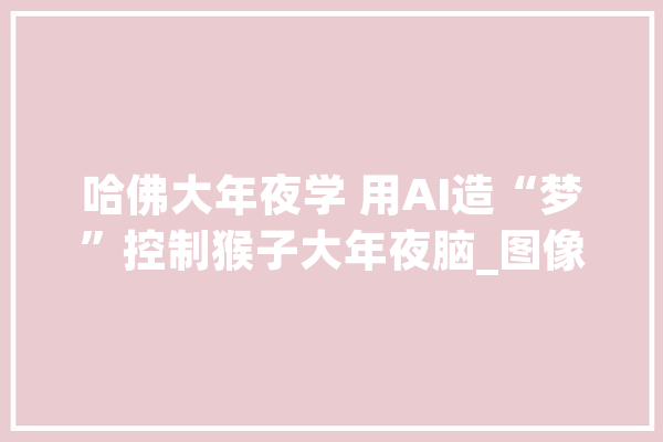 哈佛大年夜学 用AI造“梦”控制猴子大年夜脑_图像_神经元