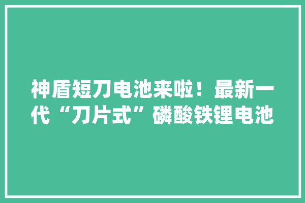 神盾短刀电池来啦！最新一代“刀片式”磷酸铁锂电池_银河_电池 智能助手
