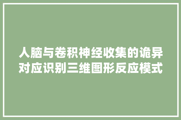 人脑与卷积神经收集的诡异对应识别三维图形反应模式异常相似_年夜脑_神经元 科技快讯