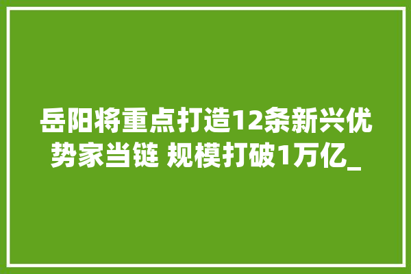 岳阳将重点打造12条新兴优势家当链 规模打破1万亿_家当_岳阳 云服务
