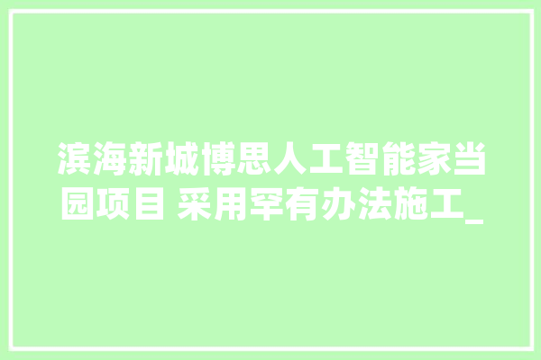 滨海新城博思人工智能家当园项目 采用罕有办法施工_家当_人工智能