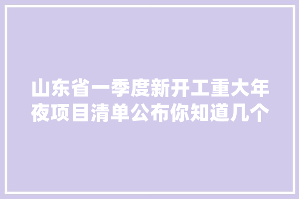 山东省一季度新开工重大年夜项目清单公布你知道几个？_项目_山东