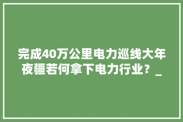 完成40万公里电力巡线大年夜疆若何拿下电力行业？_无人机_功课