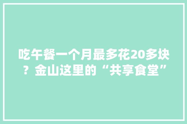 吃午餐一个月最多花20多块？金山这里的“共享食堂”经济又实惠→_食堂_企业