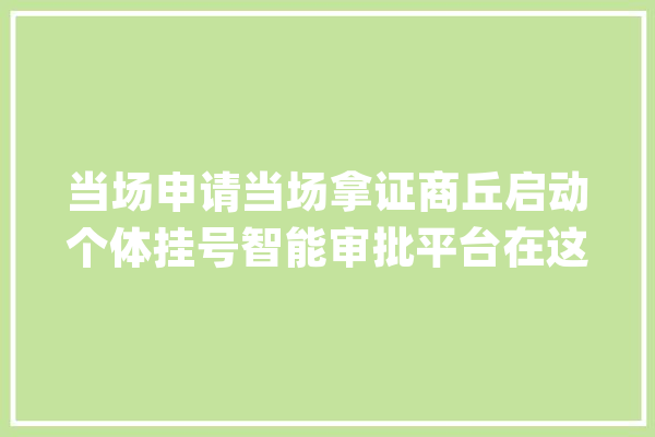 当场申请当场拿证商丘启动个体挂号智能审批平台在这五个地方_商丘市_商丘