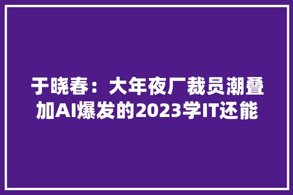 于晓春：大年夜厂裁员潮叠加AI爆发的2023学IT还能起薪8000吗？_技巧_行业 智能写作