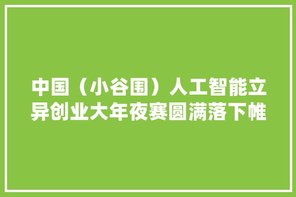 中国（小谷围）人工智能立异创业大年夜赛圆满落下帷幕_人工智能_广州 智能助手