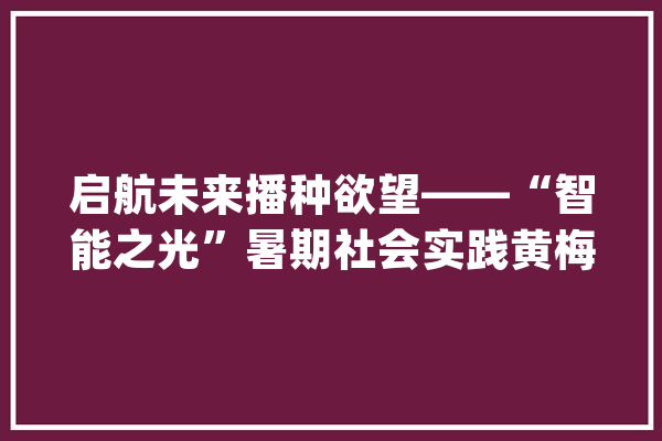 启航未来播种欲望——“智能之光”暑期社会实践黄梅分队开班_孩子们_社会实践 AI简讯