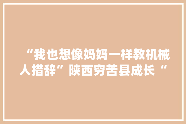 “我也想像妈妈一样教机械人措辞”陕西穷苦县成长“人工智能”穷苦户直呼“嵬峨上”_清涧县_人工智能