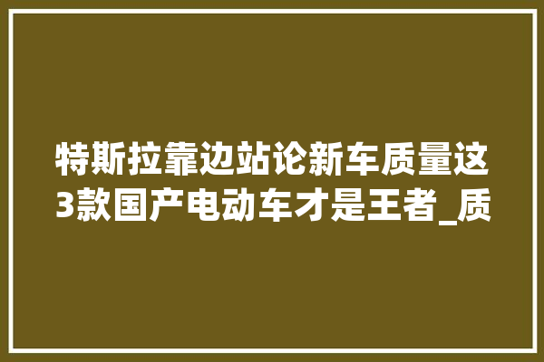 特斯拉靠边站论新车质量这3款国产电动车才是王者_质量_幻想