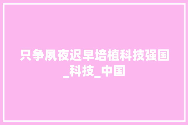 只争夙夜迟早培植科技强国_科技_中国 计算机