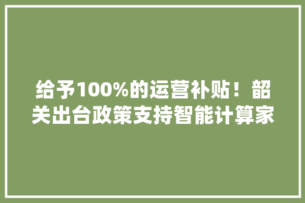 给予100%的运营补贴！韶关出台政策支持智能计算家当成长_韶关_万元