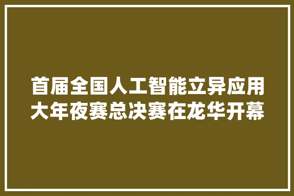 首届全国人工智能立异应用大年夜赛总决赛在龙华开幕_人工智能_家当 文字写作