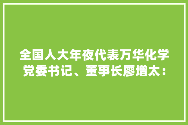 全国人大年夜代表万华化学党委书记、董事长廖增太：加快人工智能与化工行业深度融合加速形成新质分娩力_人工智能_化工行业 绘影字幕