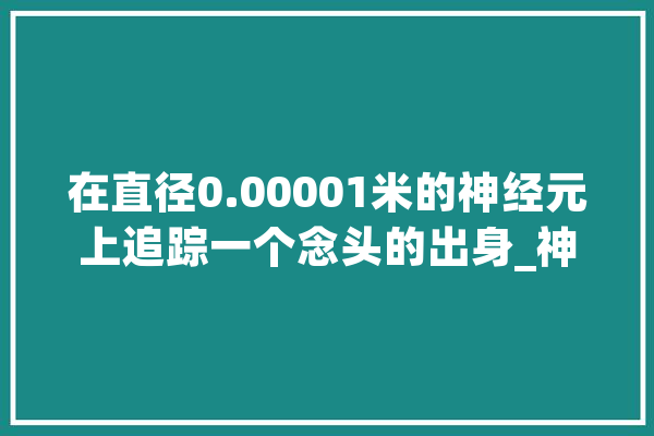 在直径0.00001米的神经元上追踪一个念头的出身_神经元_环路