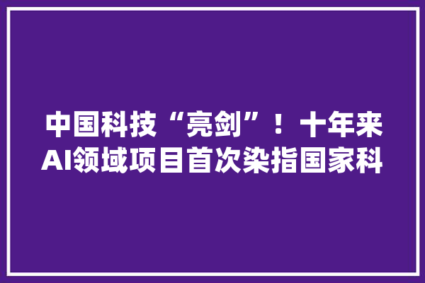 中国科技“亮剑”！十年来AI领域项目首次染指国家科技奖一等奖_技巧_语音 AI快讯