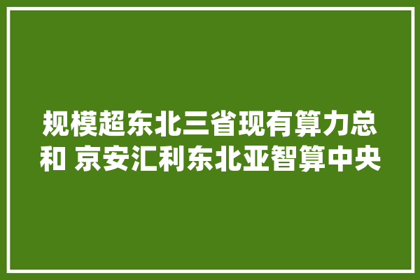 规模超东北三省现有算力总和 京安汇利东北亚智算中央开建_人工智能_东北亚 AI快讯