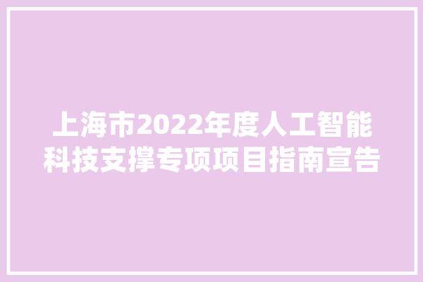上海市2022年度人工智能科技支撑专项项目指南宣告一路来看→_申报_人工智能 云服务