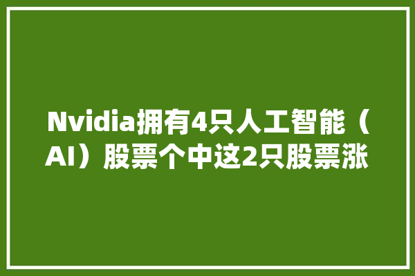 Nvidia拥有4只人工智能（AI）股票个中这2只股票涨幅最大年夜_人工智能_公司 智能写作