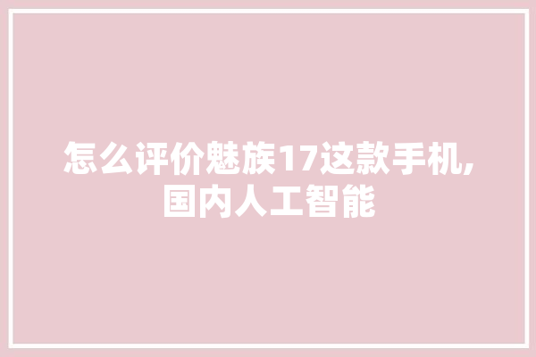 怎么评价魅族17这款手机,国内人工智能 科技快讯