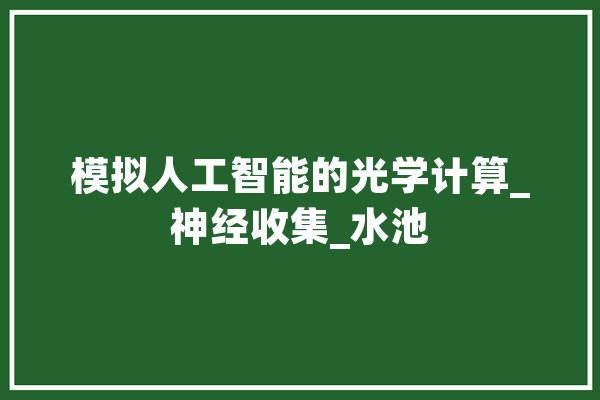 模拟人工智能的光学计算_神经收集_水池 AI简讯