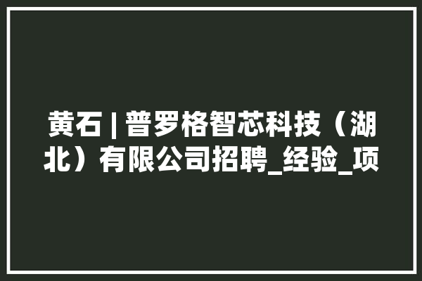 黄石 | 普罗格智芯科技（湖北）有限公司招聘_经验_项目