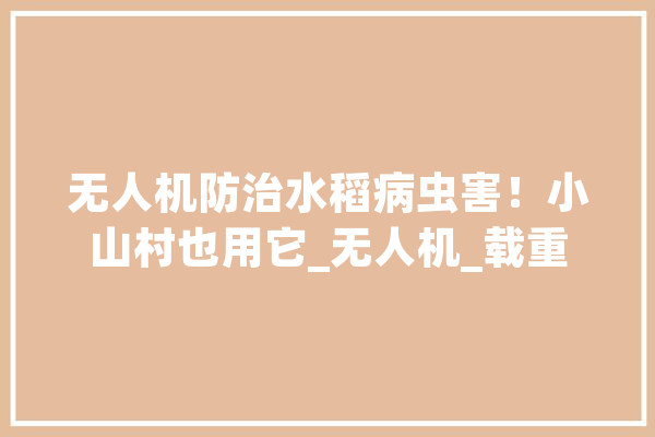 无人机防治水稻病虫害！小山村也用它_无人机_载重 绘影字幕
