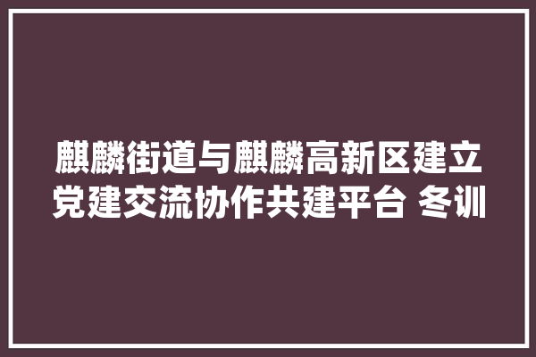 麒麟街道与麒麟高新区建立党建交流协作共建平台 冬训实境教室开启党建新模式_麒麟_高新区