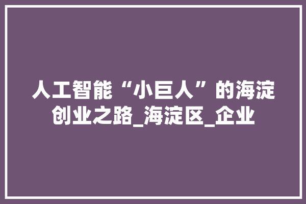 人工智能“小巨人”的海淀创业之路_海淀区_企业