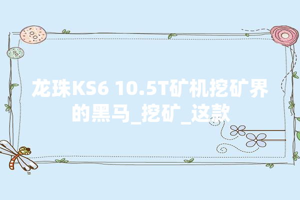 龙珠KS6 10.5T矿机挖矿界的黑马_挖矿_这款