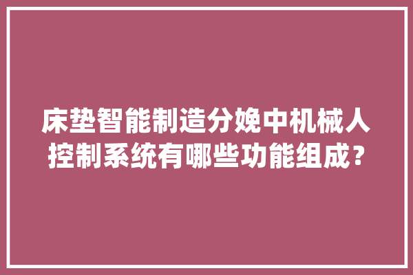 床垫智能制造分娩中机械人控制系统有哪些功能组成？_机械人_接口 智能助手