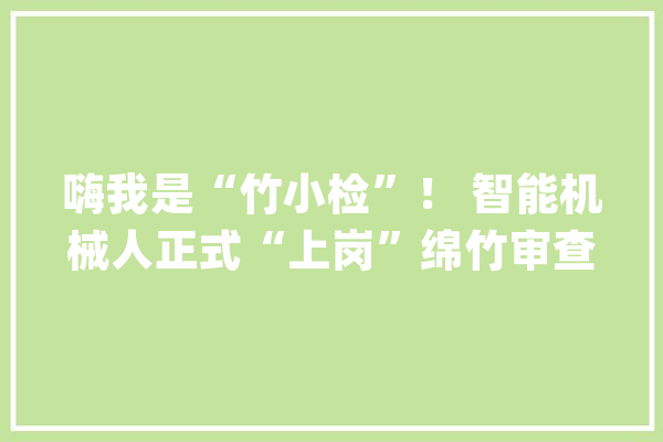 嗨我是“竹小检”！ 智能机械人正式“上岗”绵竹审查院_绵竹市_机械人