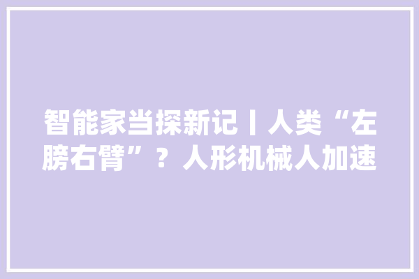 智能家当探新记丨人类“左膀右臂”？人形机械人加速走进现实_人形_机械人 AI简讯