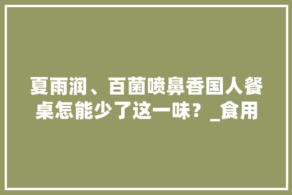 夏雨润、百菌喷鼻香国人餐桌怎能少了这一味？_食用菌_泥土