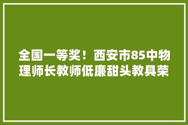 全国一等奖！西安市85中物理师长教师低廉甜头教具荣获一等奖_西安市_干预仪
