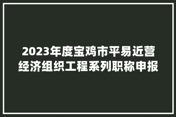 2023年度宝鸡市平易近营经济组织工程系列职称申报通知_职称_申报