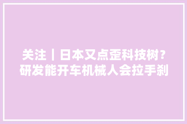 关注｜日本又点歪科技树？研发能开车机械人会拉手刹、踩踏板_机械人_日本 智能写作