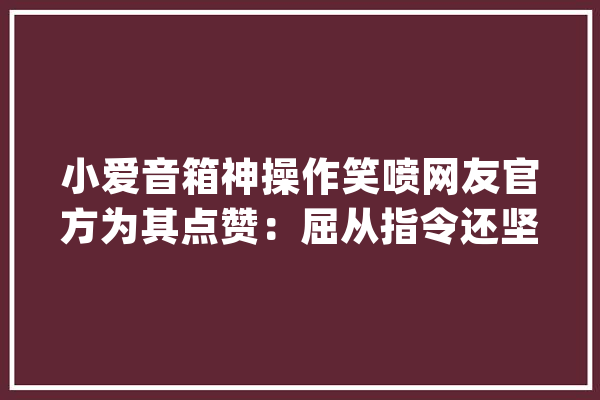 小爱音箱神操作笑喷网友官方为其点赞：屈从指令还坚持了原则！_小爱_精灵 绘影字幕