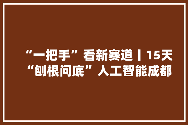 “一把手”看新赛道丨15天“刨根问底”人工智能成都与深圳对话了什么？_成都_深圳 智能问答