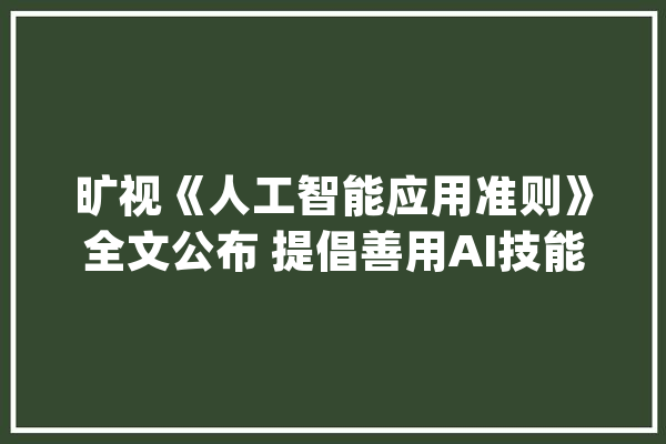 旷视《人工智能应用准则》全文公布 提倡善用AI技能_人工智能_计划