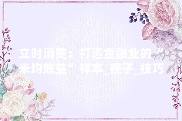 立时消费：打造金融业的“米均效益”样本_模子_技巧
