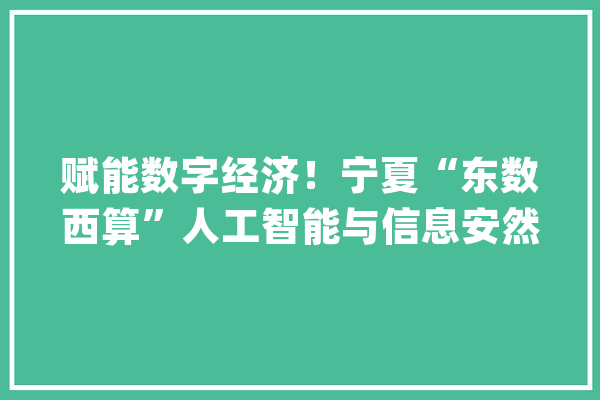 赋能数字经济！宁夏“东数西算”人工智能与信息安然重点实验室落户宁大年夜_宁夏_重点试验室 云服务