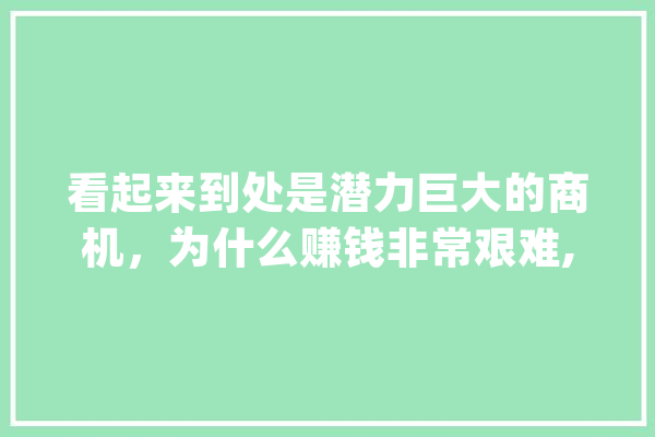看起来到处是潜力巨大的商机，为什么赚钱非常艰难,人工智能 gan 文字写作