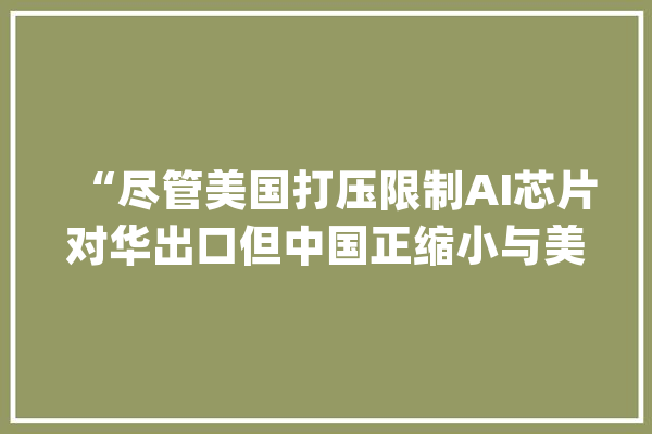 “尽管美国打压限制AI芯片对华出口但中国正缩小与美国的人工智能差距”_人工智能_中国 云服务