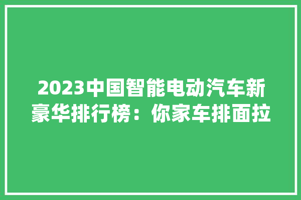 2023中国智能电动汽车新豪华排行榜：你家车排面拉满了吗？_新能源_车型