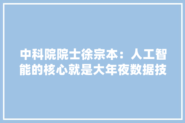 中科院院士徐宗本：人工智能的核心就是大年夜数据技能_数据_长沙 绘影字幕